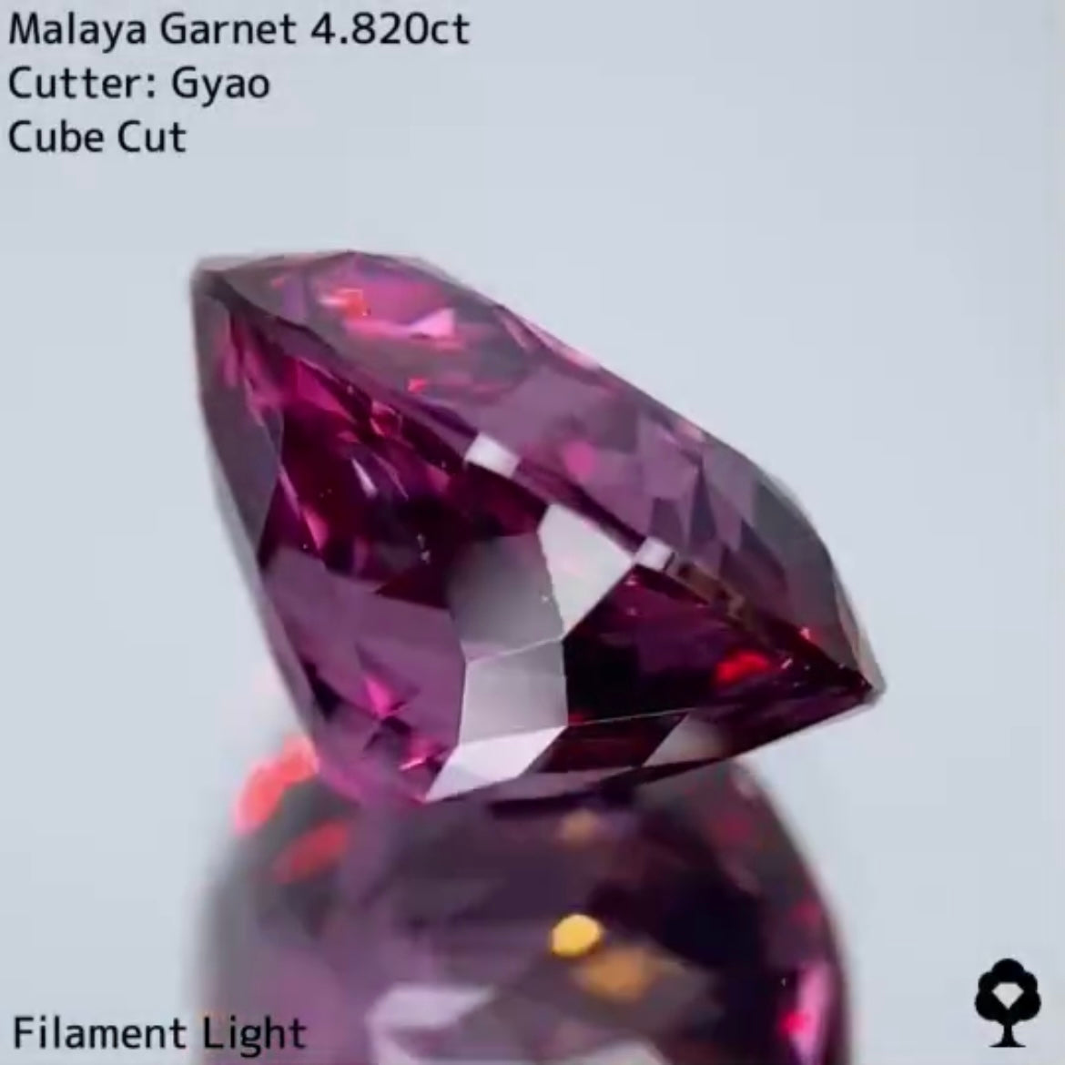 美色・品質・大きさ・カットの4拍子揃った傑作★マラヤガーネット 4.820ct