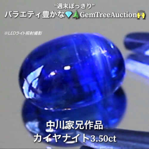 ロイヤルブルーカイヤナイト3.50ct✨“週末ぽっきり”💎🌲GemTreeAuction🙌バラエティー豊かな10品を一挙にオークションでご紹介しちゃいます👍本日「22時20分終了」となります⏰