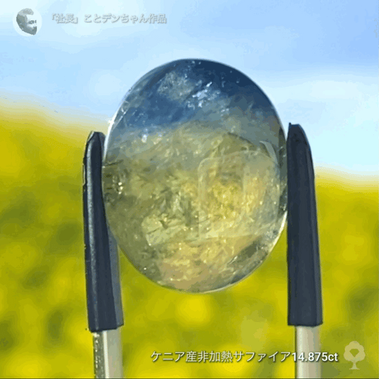 6億4千万年のロマン✨ケニア産非加熱バイカラーサファイア14.875ct💎特別レポートつき♪4月10日・11日の2日間ぽっきり価格でご紹介です❗️❗️