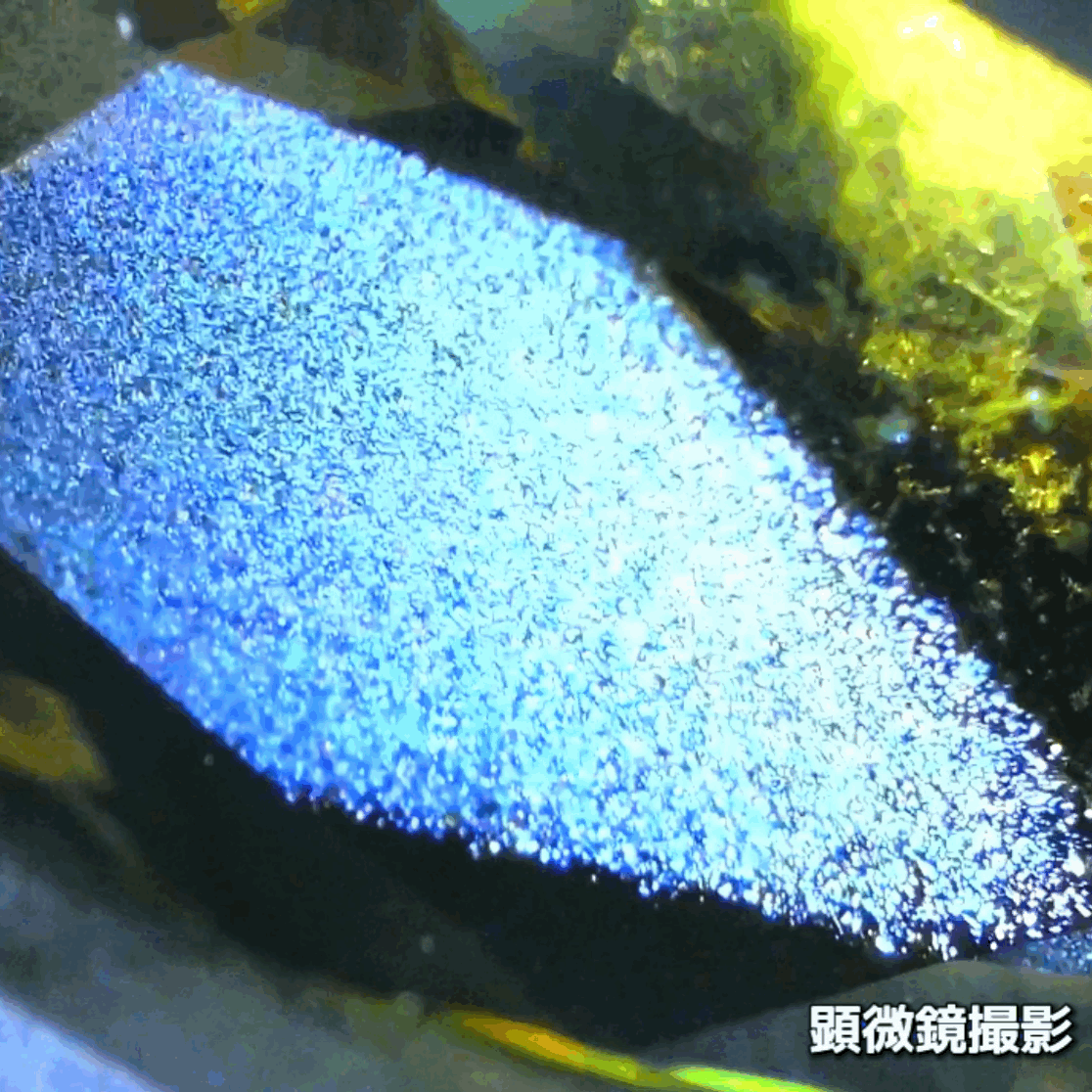 タンザニア産非加熱サファイア2.675ct💎“緑”特集第5弾は❗️ムーンストーンのシラーのように煌めきます✨ナントGemTreeAuction 1円スタート👍こちらは11月13日(金曜日)「22時00分終了」となります⏰