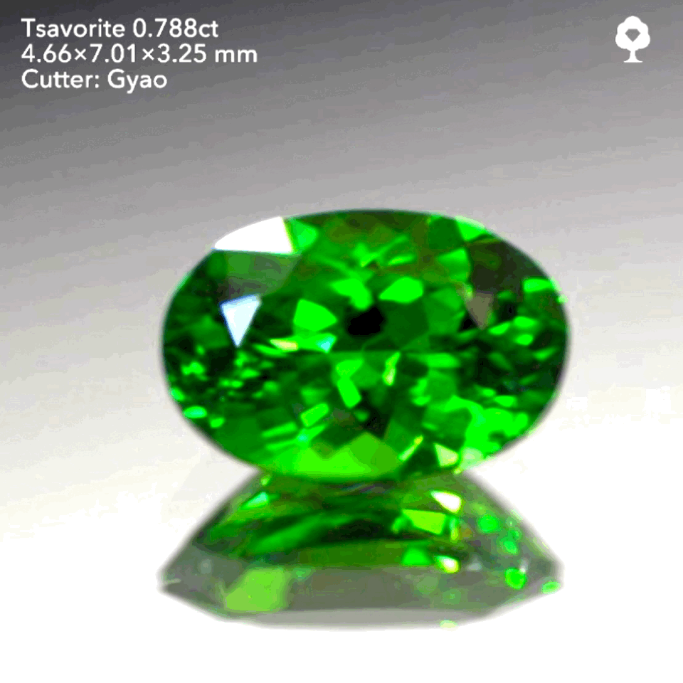 余計な説明不要シリーズ“これぞツァボライト”0.788ct✨ゲオちゃん作品💎