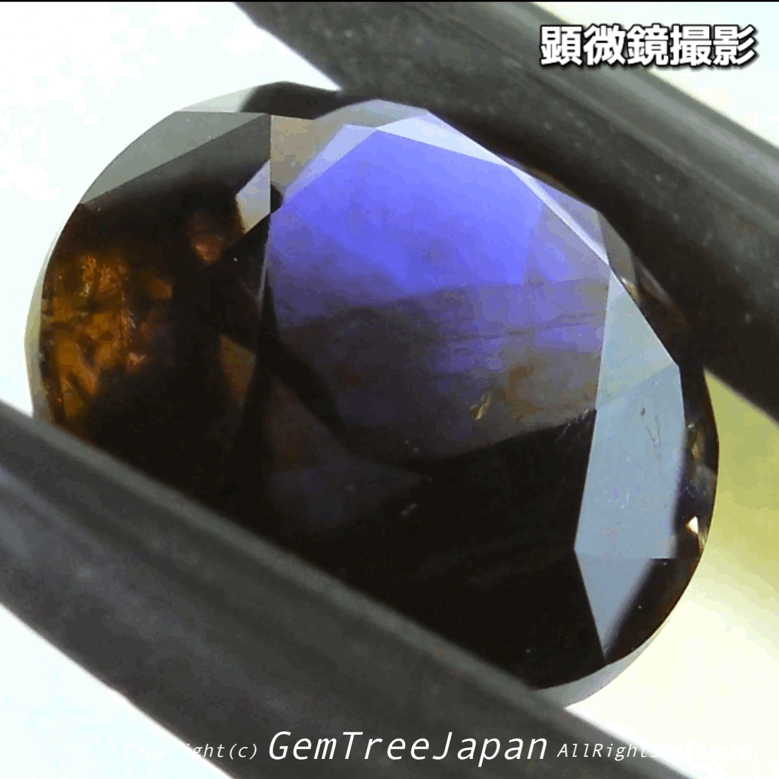 これぞアイオライトの面白さ😄こちらは2.50ct✨“青”特集 & “緑”特集 番外編❗半端ない多色感️👍