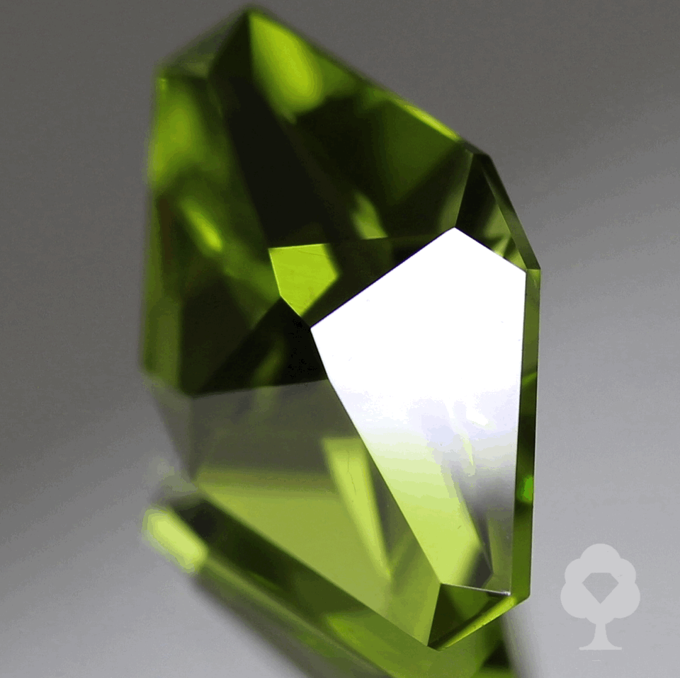 ゲオ先生作品特集「ファンシーカイトカット」パキスタンペリドット1.427ct✨ 3/21 プレミア配信💎🌳⚡️