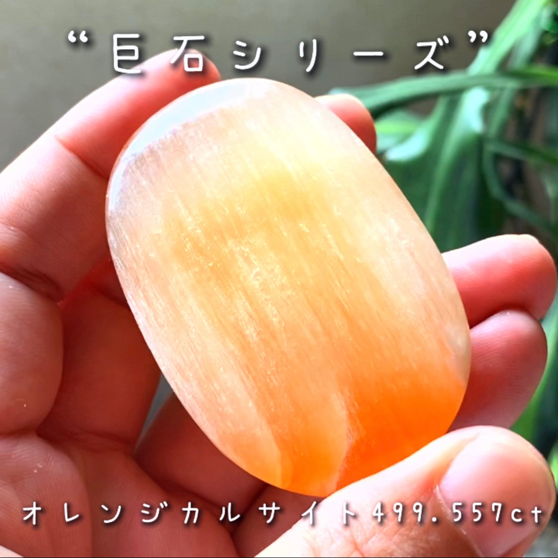 今度はナントっ❗️『約500ct』✌️GemTreeJapanのこだわり『GTQ』の真逆をいく企画“綺麗じゃないけどデカくて安い『巨石シリーズ』”❗️美味しそうな色合いのカルサイト🍯