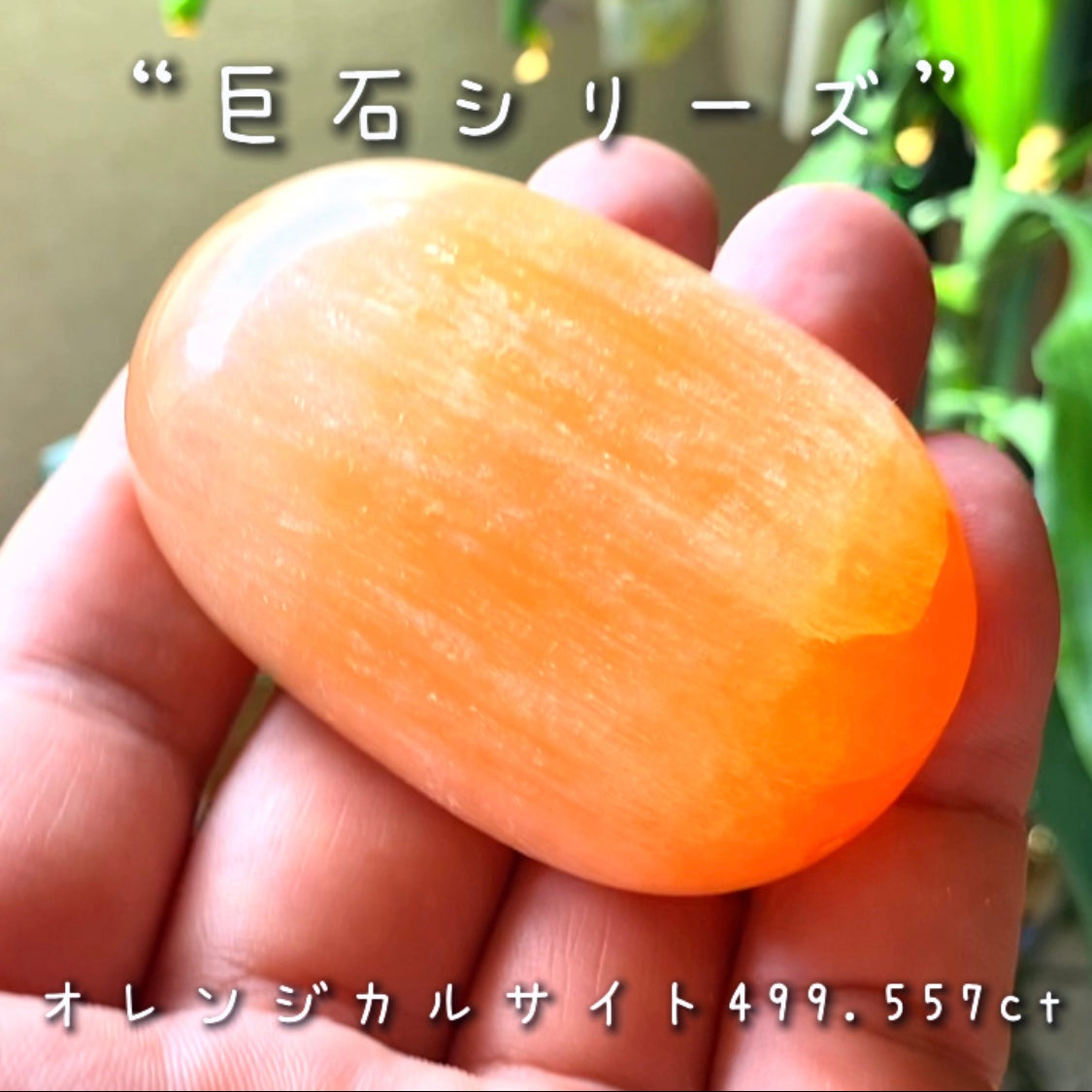 今度はナントっ❗️『約500ct』✌️GemTreeJapanのこだわり『GTQ』の真逆をいく企画“綺麗じゃないけどデカくて安い『巨石シリーズ』”❗️美味しそうな色合いのカルサイト🍯
