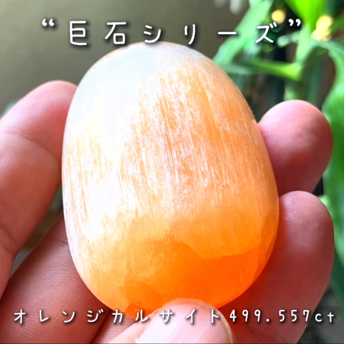 今度はナントっ❗️『約500ct』✌️GemTreeJapanのこだわり『GTQ』の真逆をいく企画“綺麗じゃないけどデカくて安い『巨石シリーズ』”❗️美味しそうな色合いのカルサイト🍯