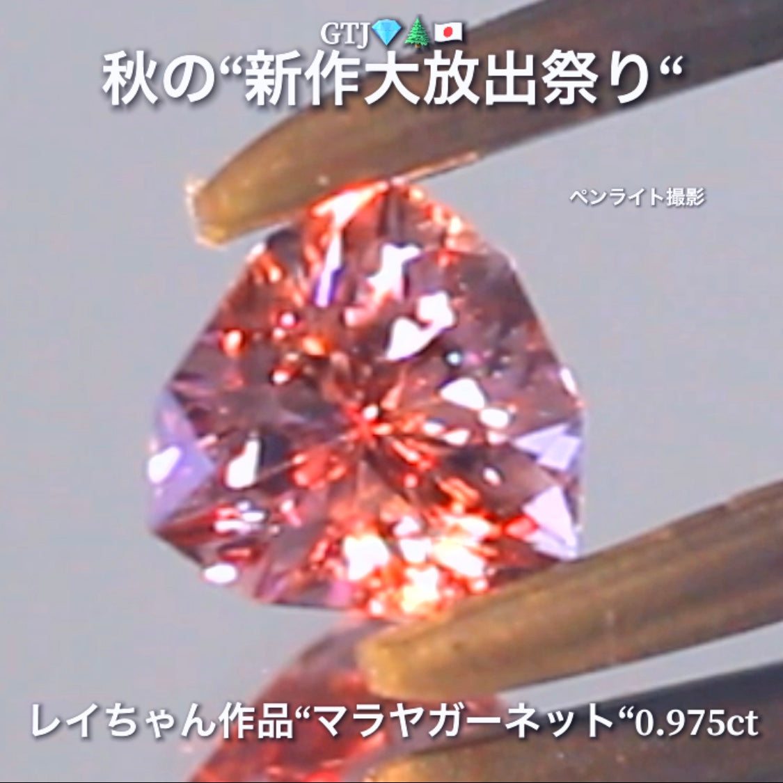 こちらは新企画【OneDayChance❗️】その名も1日だけのお試し価格❗️ファンシートリリアント『マラヤガーネット0.975ct』登場✨レイちゃん作品💎レベルの高いロゼピンクの輝きをお楽しみください🔮秋の“新作大放出祭り🍁”こちらのファンシートリリアントは、『お試し大特価』として【OneDayChance❗️】でご紹介しちゃいます🎶