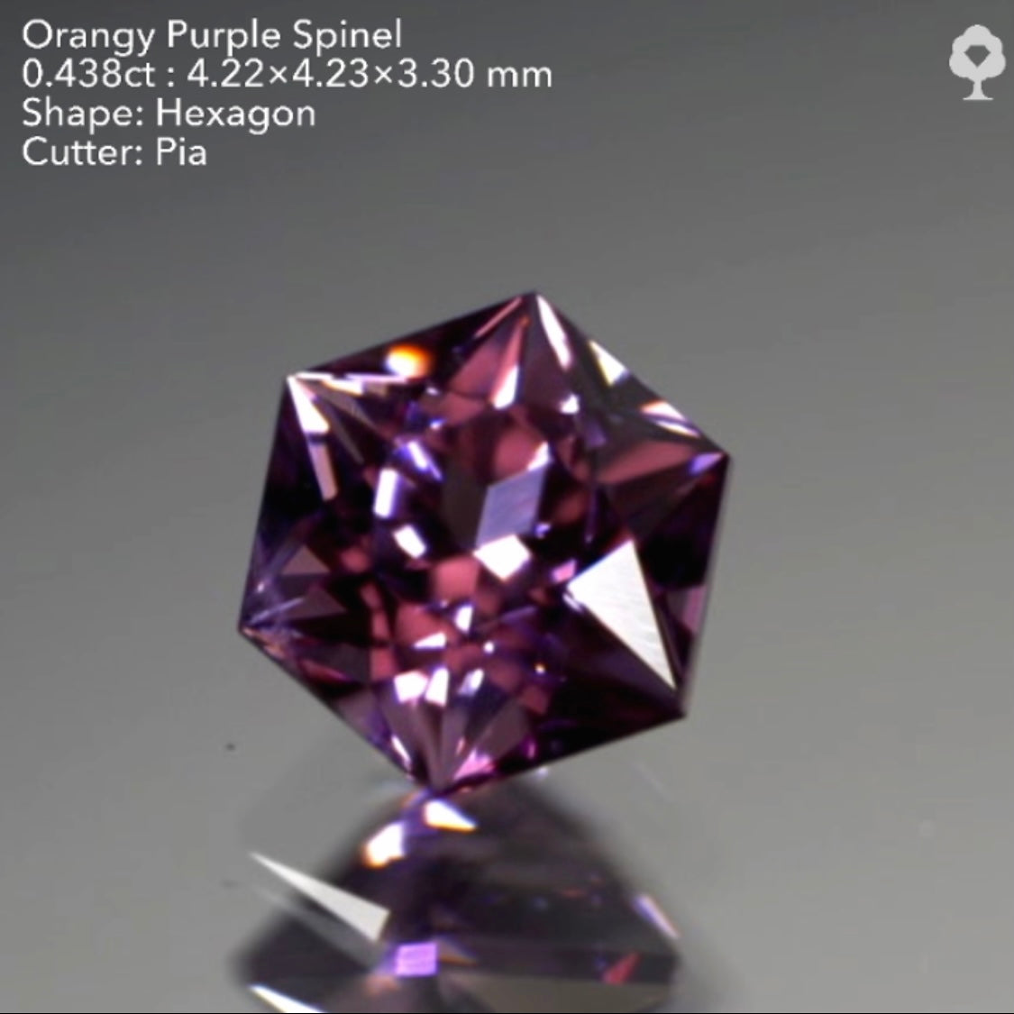 【SOLD OUT】『GTJ公式「秋色」“オレンジパープル”スピネル0.438ct✨ピアッちゃん作品(LIVE中のお問合せ一番乗り特価でのご紹介です)