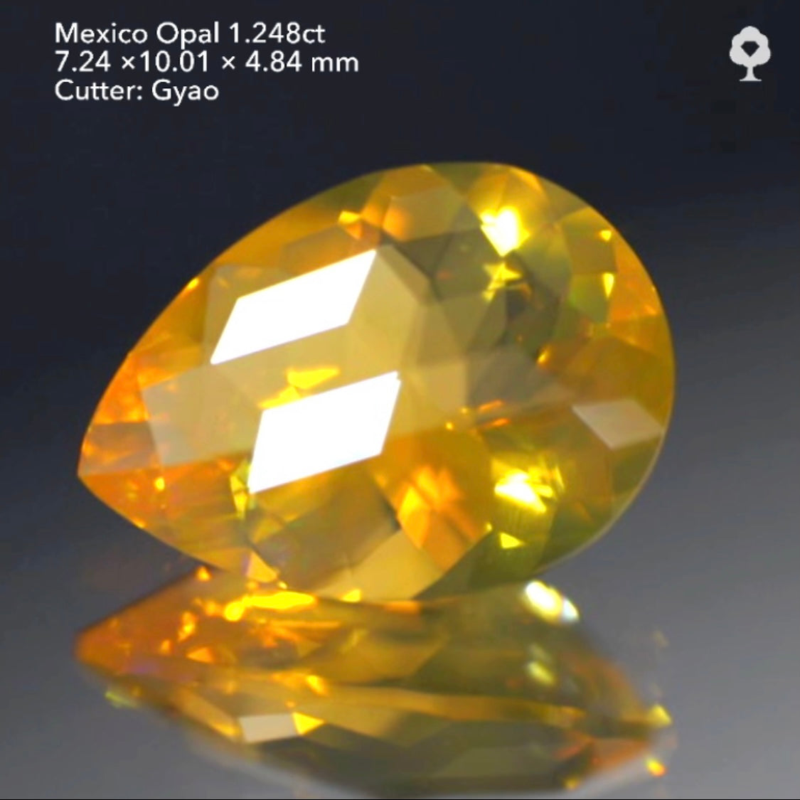 【SOLD OUT】美しい地色に映えるキューブの煌き🎁⭐️メキシコオパール1.248ct✨ゲオちゃん作品