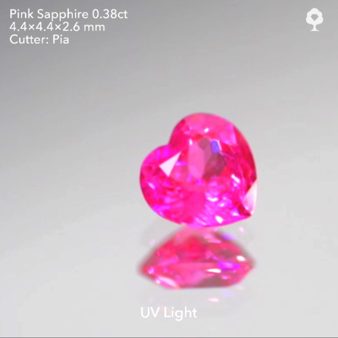 【SOLD OUT】鮮やかピンクと抜群のプロポーション💖モザンビーク産ピンクサファイア0.38ct✨ピアッちゃん作品