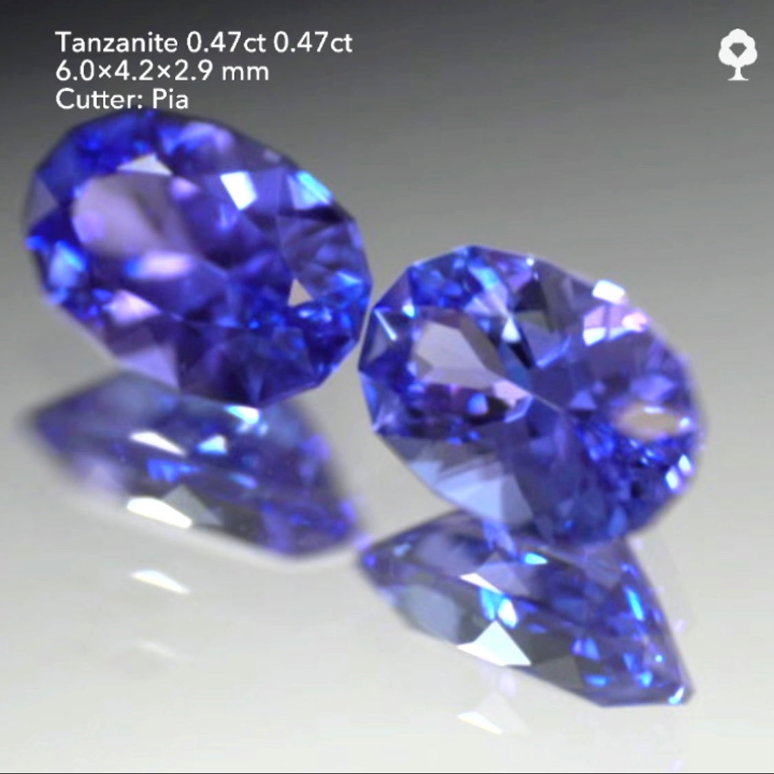 同サイズのファンシーオーバル2個セット💎💎色見比べタンザナイト0.47ct & 0.47ct★ピアッちゃん作品