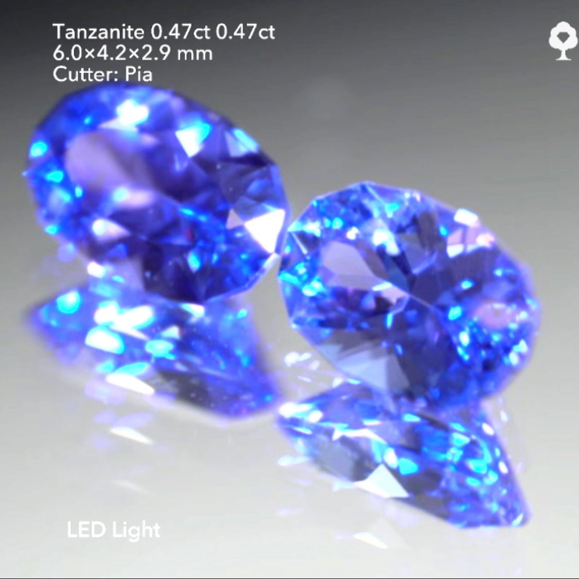 同サイズのファンシーオーバル2個セット💎💎色見比べタンザナイト0.47ct & 0.47ct★ピアッちゃん作品