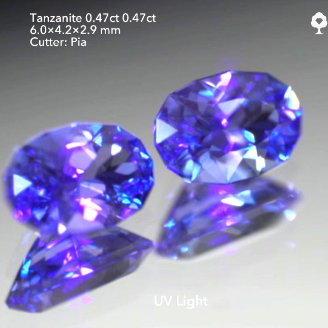 同サイズのファンシーオーバル2個セット💎💎色見比べタンザナイト0.47ct & 0.47ct★ピアッちゃん作品