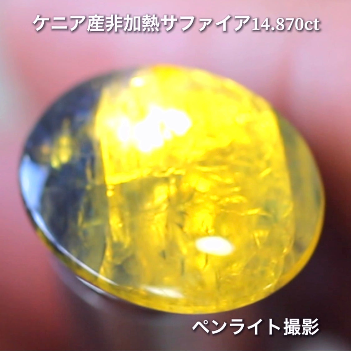 6億4千万年のロマン✨ケニア産非加熱バイカラーサファイア14.875ct💎特別レポートつき♪4月10日・11日の2日間ぽっきり価格でご紹介です❗️❗️