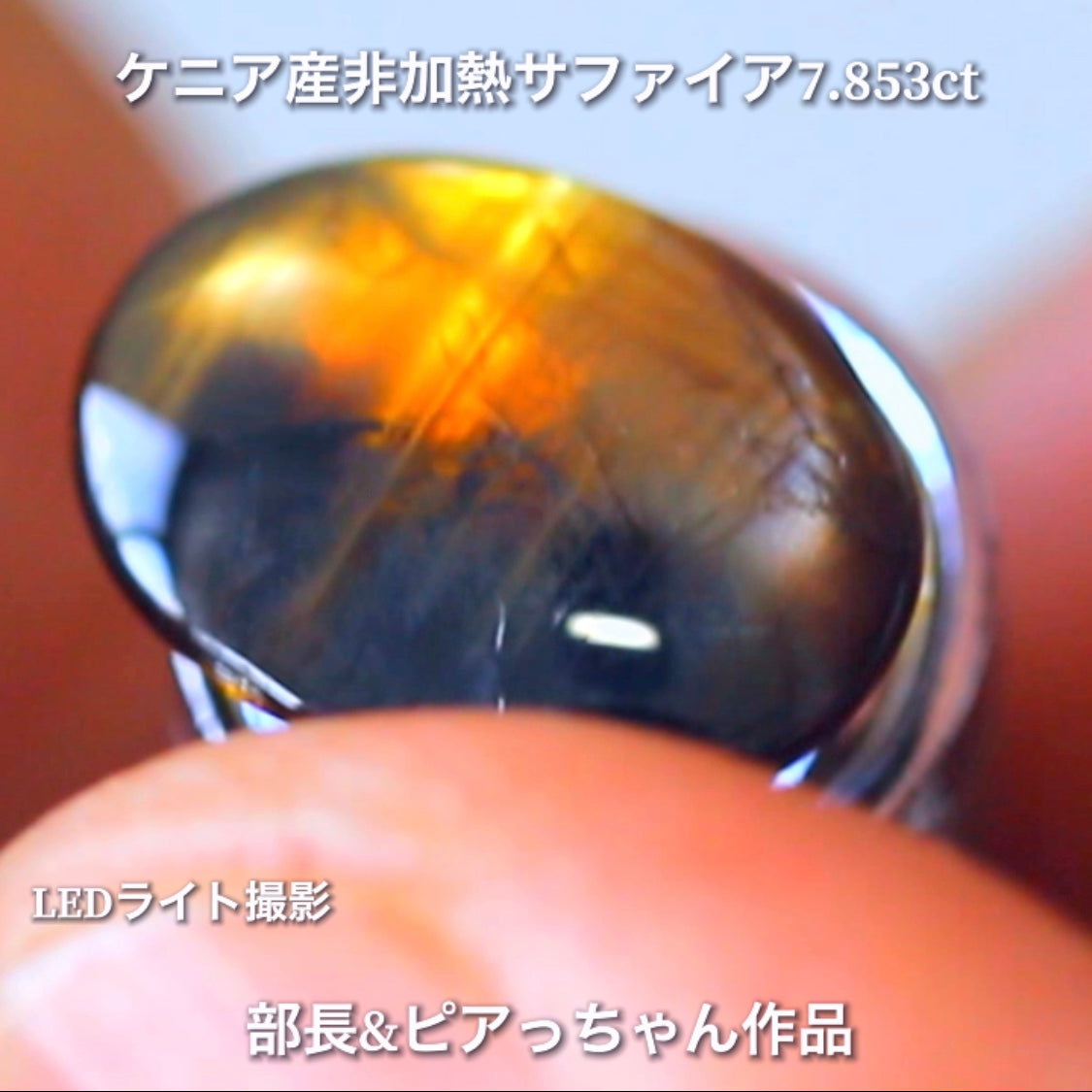 美色ブルーとゴールドシーンのバイカラー✨部長&ピアっちゃん共同作品💎ケニア産非加熱スターサファイア7.853ct💎