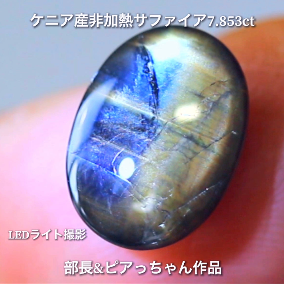 美色ブルーとゴールドシーンのバイカラー✨部長&ピアっちゃん共同作品💎ケニア産非加熱スターサファイア7.853ct💎