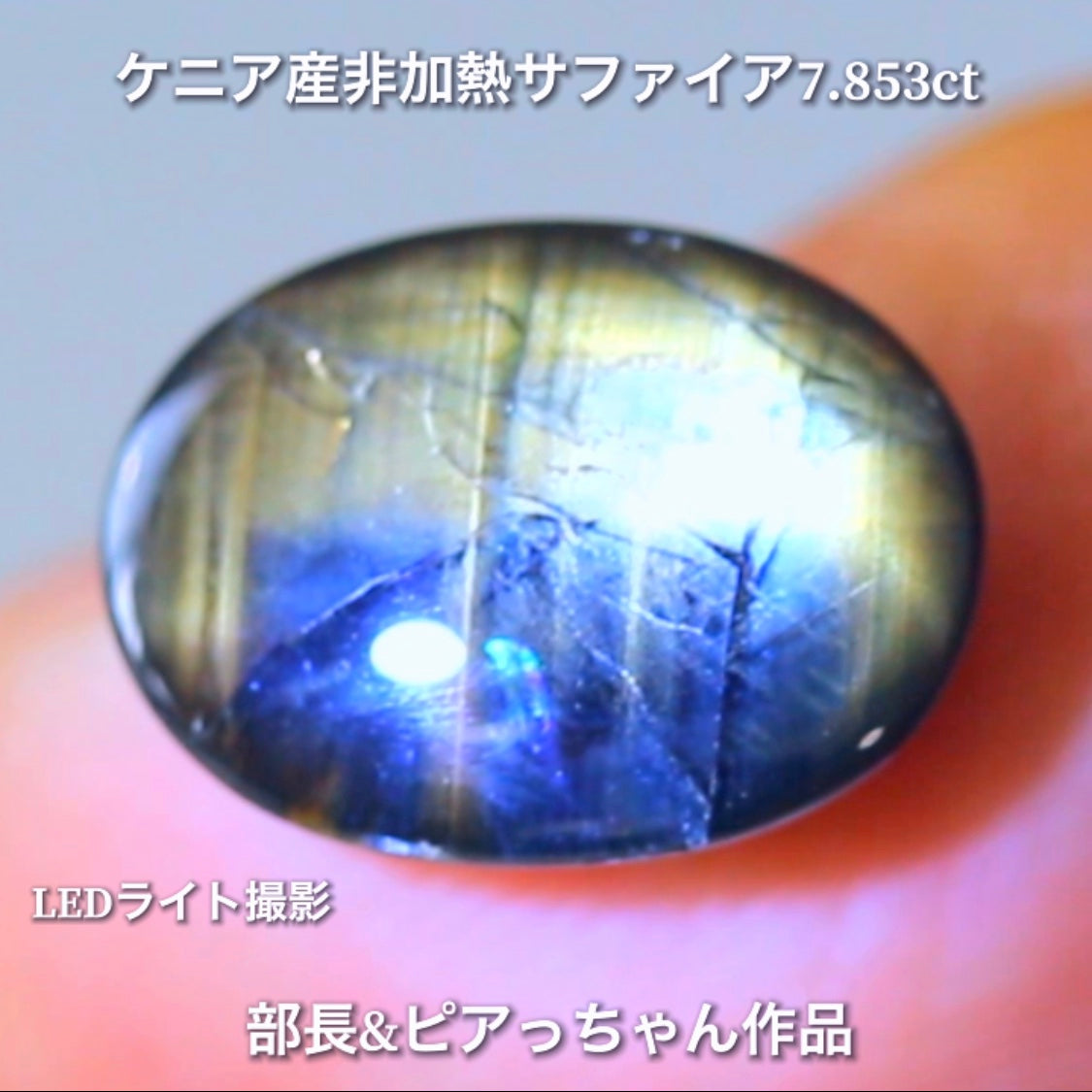 美色ブルーとゴールドシーンのバイカラー✨部長&ピアっちゃん共同作品💎ケニア産非加熱スターサファイア7.853ct💎