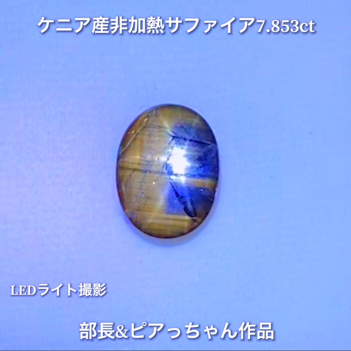 美色ブルーとゴールドシーンのバイカラー✨部長&ピアっちゃん共同作品💎ケニア産非加熱スターサファイア7.853ct💎
