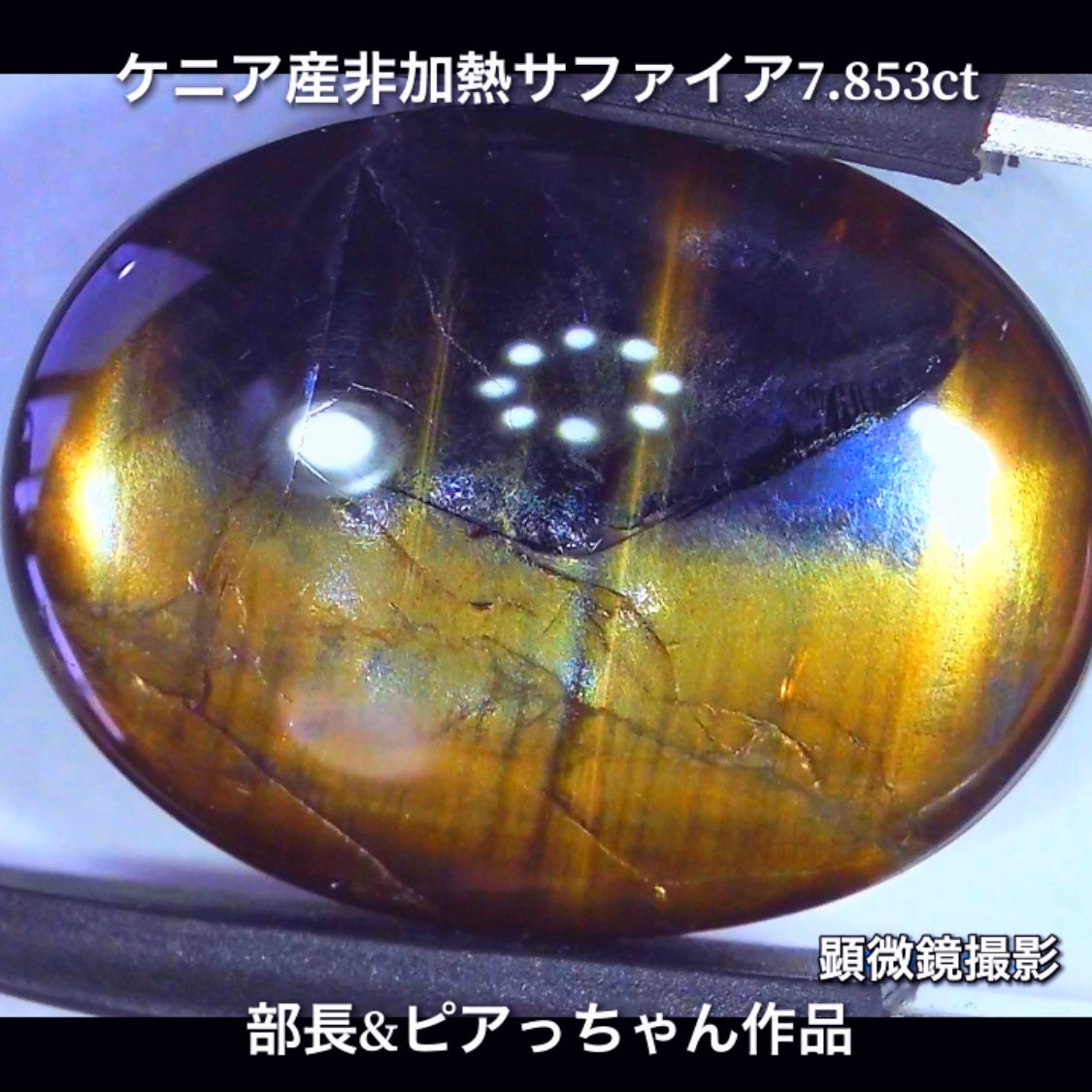 美色ブルーとゴールドシーンのバイカラー✨部長&ピアっちゃん共同作品💎ケニア産非加熱スターサファイア7.853ct💎