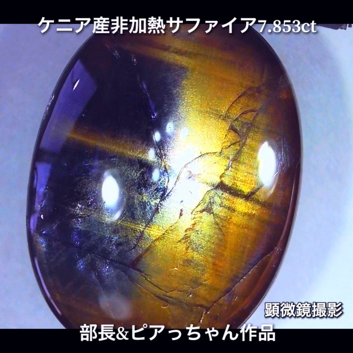 美色ブルーとゴールドシーンのバイカラー✨部長&ピアっちゃん共同作品💎ケニア産非加熱スターサファイア7.853ct💎