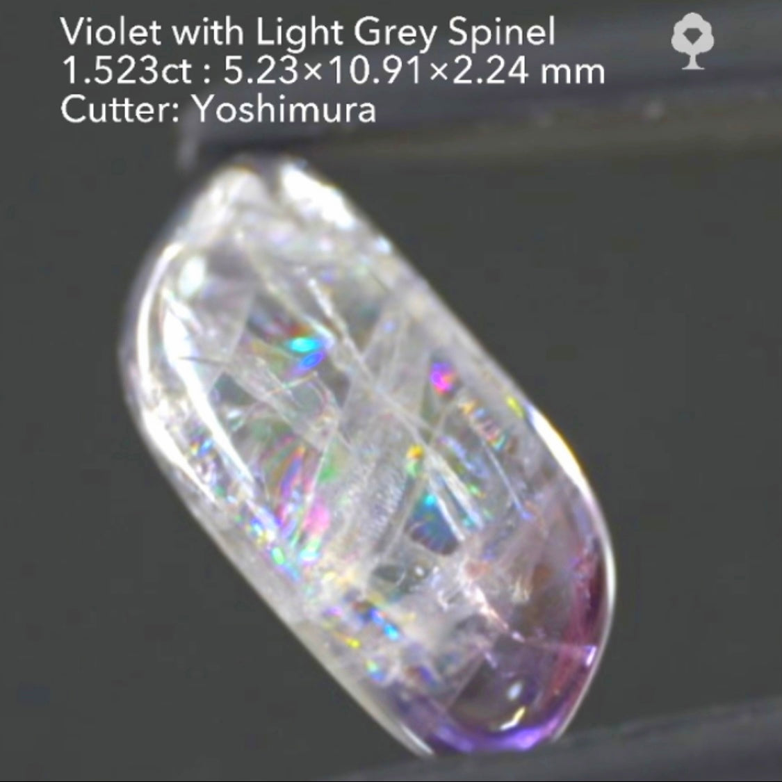 【SOLD OUT】虹だらけスピネル1.523ct🌈吉村作品✨“14日はGemTreeの日”ご紹介作品