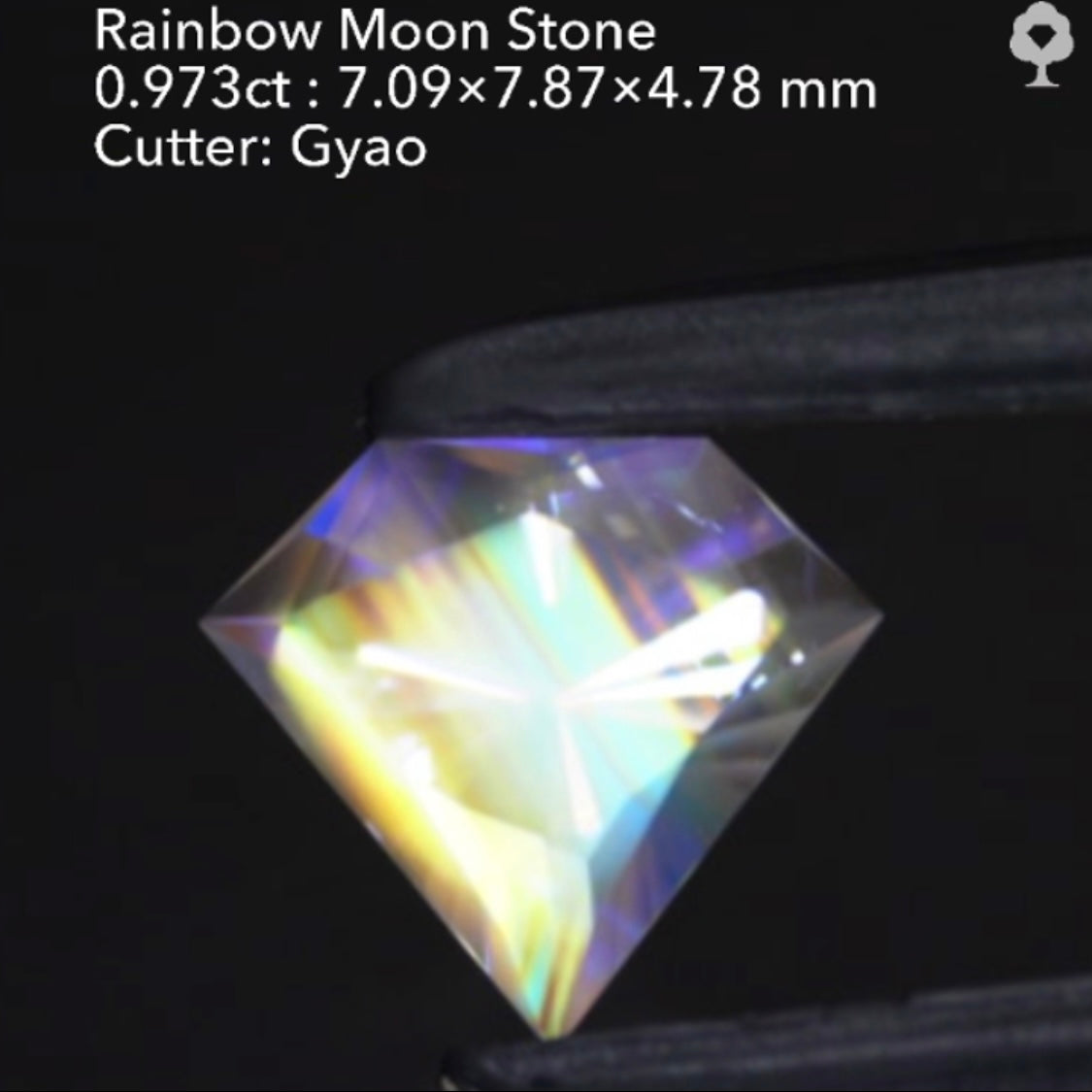 【SOLD OUT】傑作❗️宝石型の宝石💎✨レインボームーンストーン0.973ct🌈🌕💎ゲオちゃん作品👍“14日はGemTreeの日”ご紹介作品