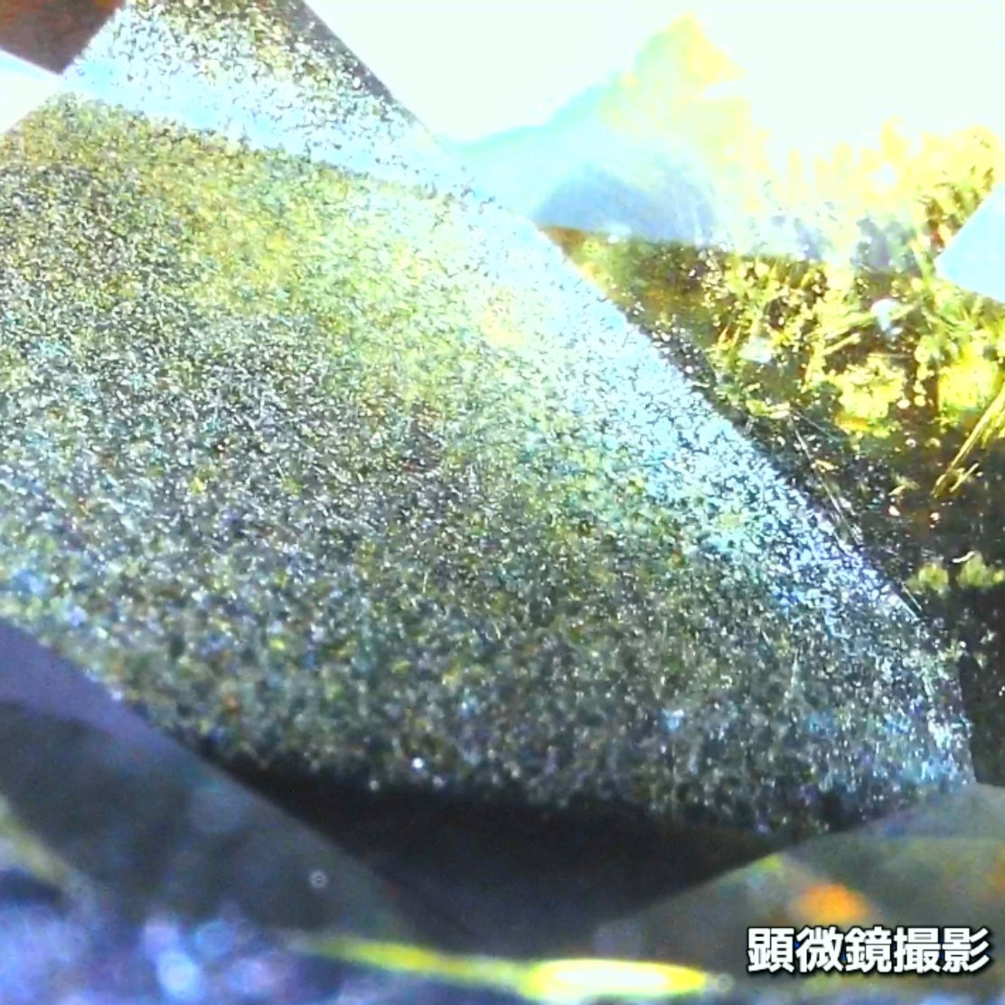 タンザニア産非加熱サファイア2.675ct💎“緑”特集第5弾は❗️ムーンストーンのシラーのように煌めきます✨ナントGemTreeAuction 1円スタート👍こちらは11月13日(金曜日)「22時00分終了」となります⏰