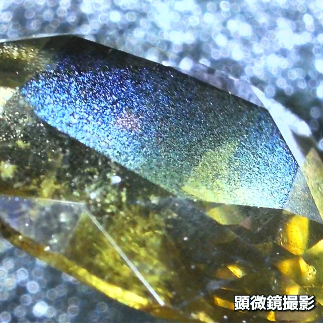 タンザニア産非加熱サファイア2.675ct💎“緑”特集第5弾は❗️ムーンストーンのシラーのように煌めきます✨ナントGemTreeAuction 1円スタート👍こちらは11月13日(金曜日)「22時00分終了」となります⏰
