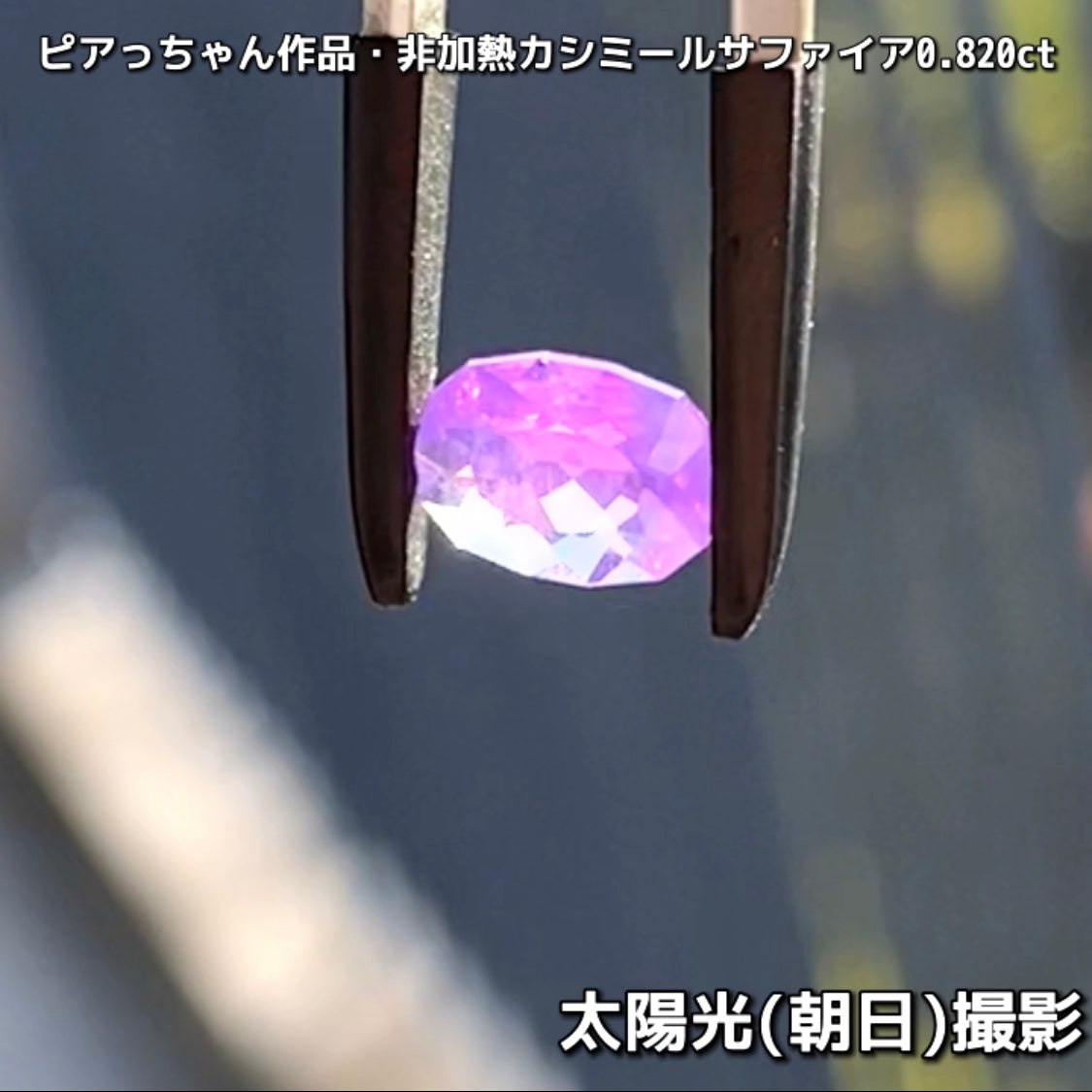 “赤”特集第6弾は❗️赤いバントが走る非加熱カシミールサファイア0.820ct✨ピアっちゃん作品ファンシーオーバル💎こちらは11月18日(水曜日)「21時45分終了」となります⏰