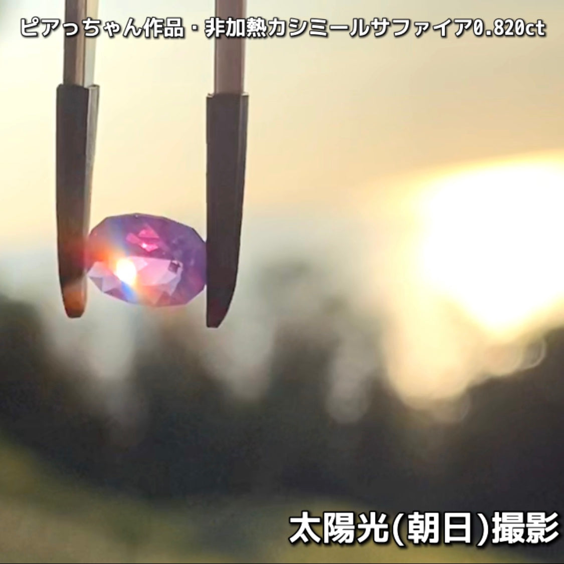 “赤”特集第6弾は❗️赤いバントが走る非加熱カシミールサファイア0.820ct✨ピアっちゃん作品ファンシーオーバル💎こちらは11月18日(水曜日)「21時45分終了」となります⏰
