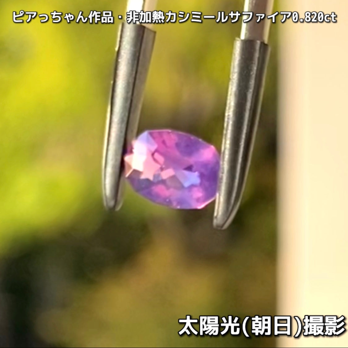 “赤”特集第6弾は❗️赤いバントが走る非加熱カシミールサファイア0.820ct✨ピアっちゃん作品ファンシーオーバル💎こちらは11月18日(水曜日)「21時45分終了」となります⏰