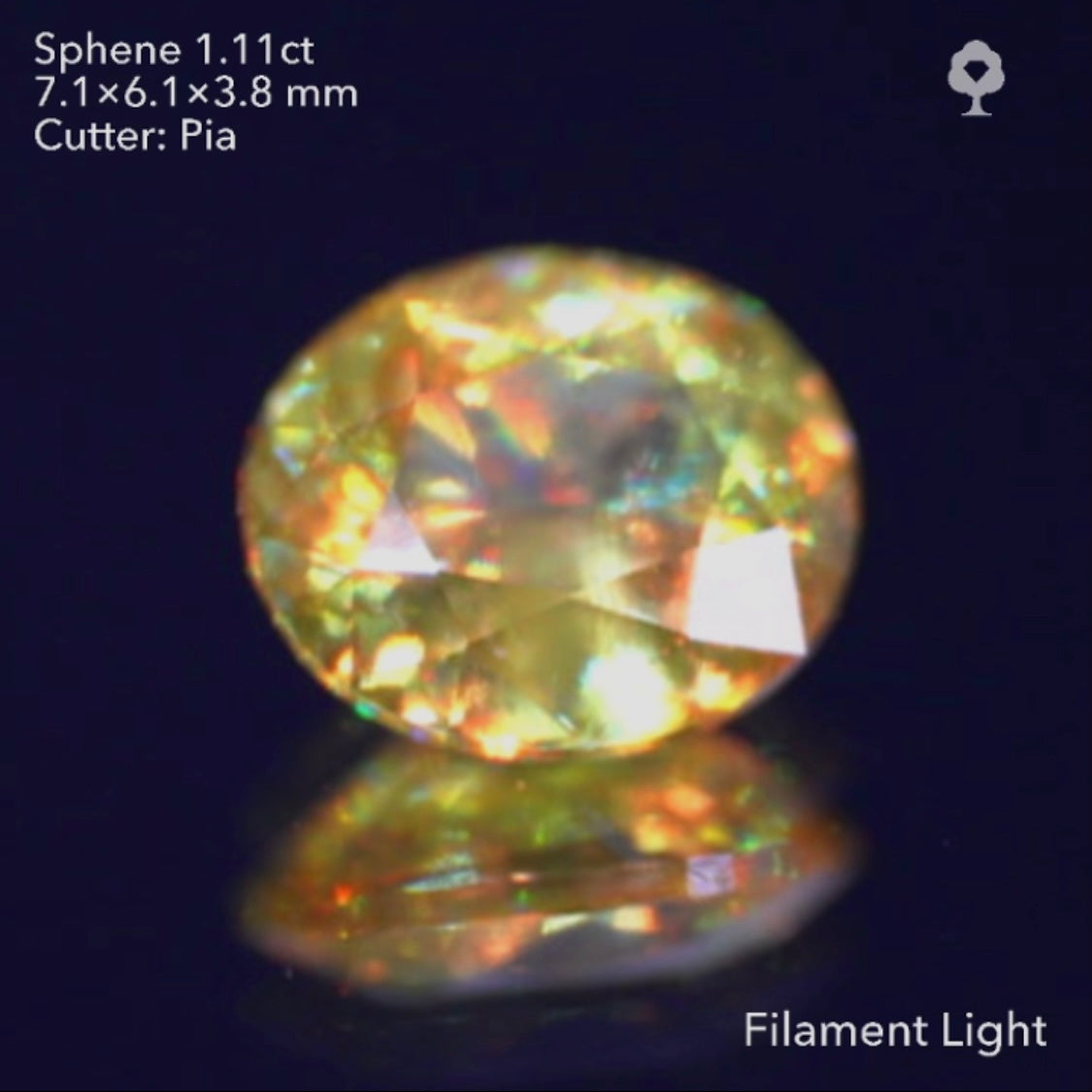 【SOLD OUT】GTJライブ《逆逆オークション》マダガスカル産スフェーン1.11ct