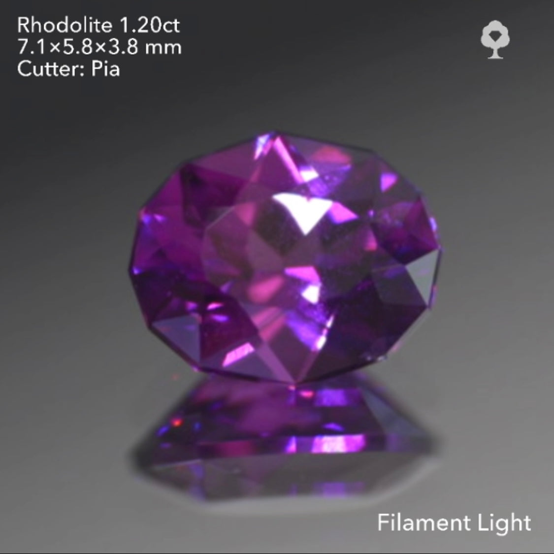 【SOLD OUT】GTJライブ《逆逆オークション》ロードライトガーネット1.20ct