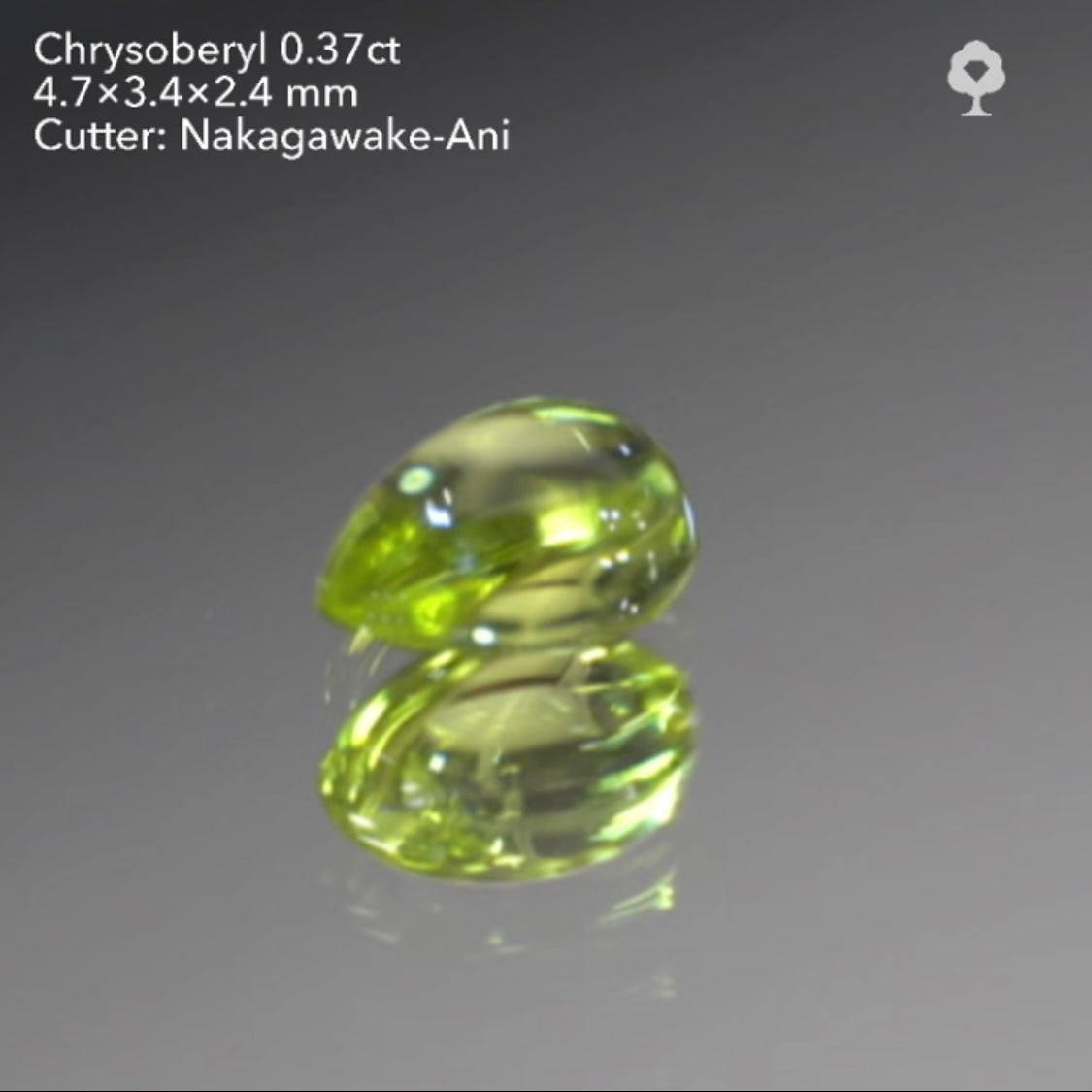 【SOLD OUT】GTJライブ《逆逆オークション》クリソベリル0.37ct