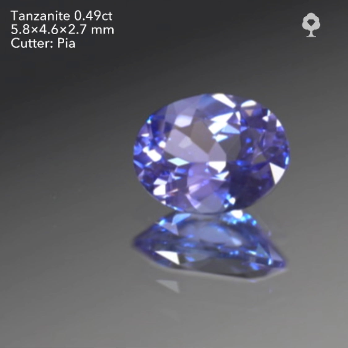 【SOLD OUT】GTJライブ《抽選》タンザナイト0.49ct