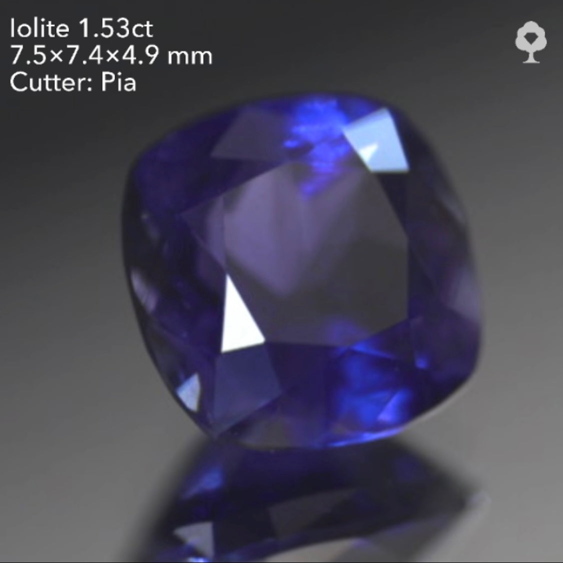 【SOLD OUT】GTJライブ《逆オークション》アイオライト1.53ct