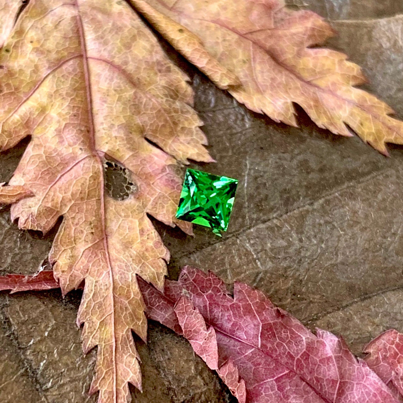 ツァボライト(グリーンガーネット) 0.296ct✨11/17お昼Live配信商品⚡️ピアっちゃん作品💎✨