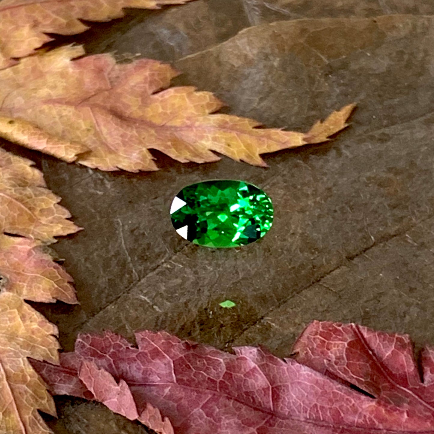 余計な説明不要シリーズ“これぞツァボライト”0.788ct✨ゲオちゃん作品💎