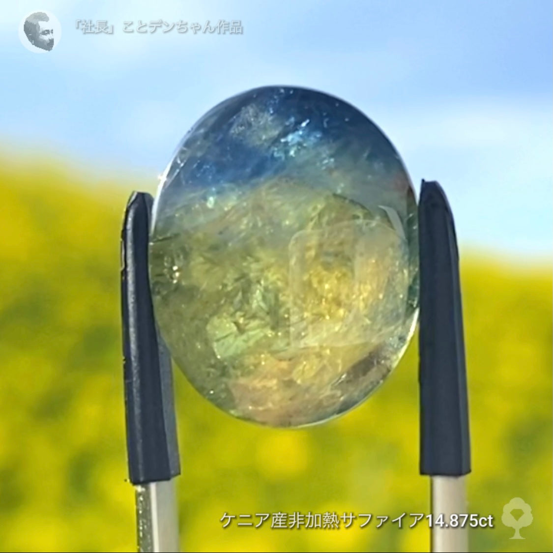 6億4千万年のロマン✨ケニア産非加熱バイカラーサファイア14.875ct💎特別レポートつき♪4月10日・11日の2日間ぽっきり価格でご紹介です❗️❗️