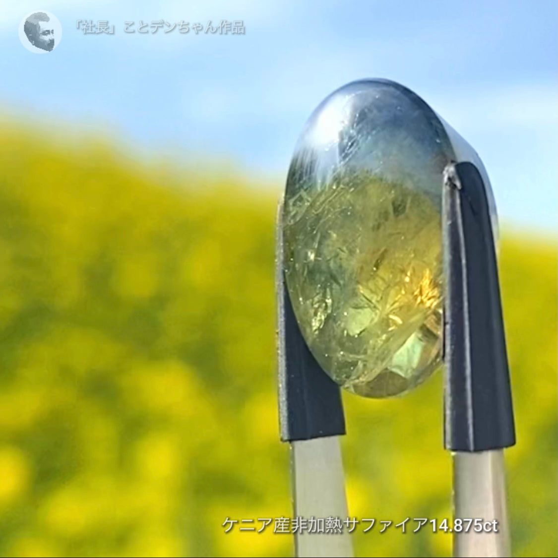 6億4千万年のロマン✨ケニア産非加熱バイカラーサファイア14.875ct💎特別レポートつき♪4月10日・11日の2日間ぽっきり価格でご紹介です❗️❗️