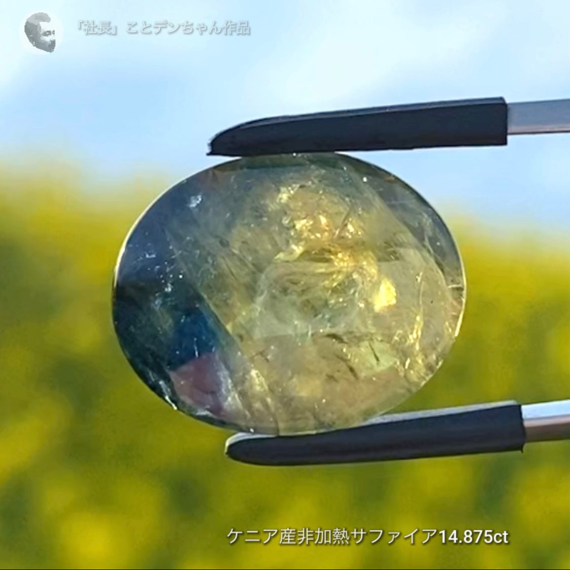 6億4千万年のロマン✨ケニア産非加熱バイカラーサファイア14.875ct💎特別レポートつき♪4月10日・11日の2日間ぽっきり価格でご紹介です❗️❗️
