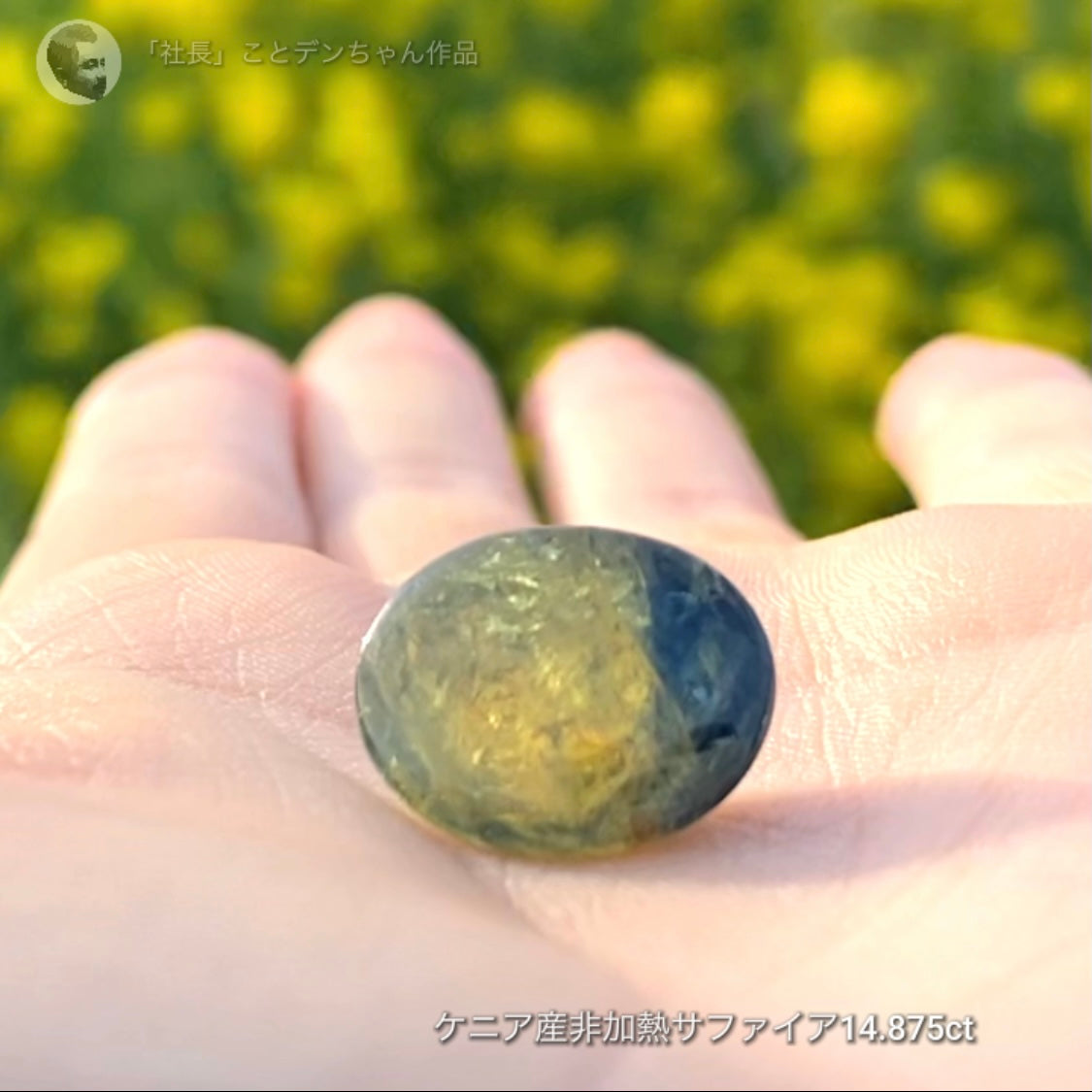 6億4千万年のロマン✨ケニア産非加熱バイカラーサファイア14.875ct💎特別レポートつき♪4月10日・11日の2日間ぽっきり価格でご紹介です❗️❗️