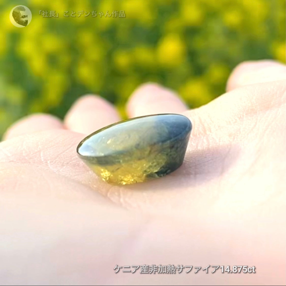 6億4千万年のロマン✨ケニア産非加熱バイカラーサファイア14.875ct💎特別レポートつき♪4月10日・11日の2日間ぽっきり価格でご紹介です❗️❗️