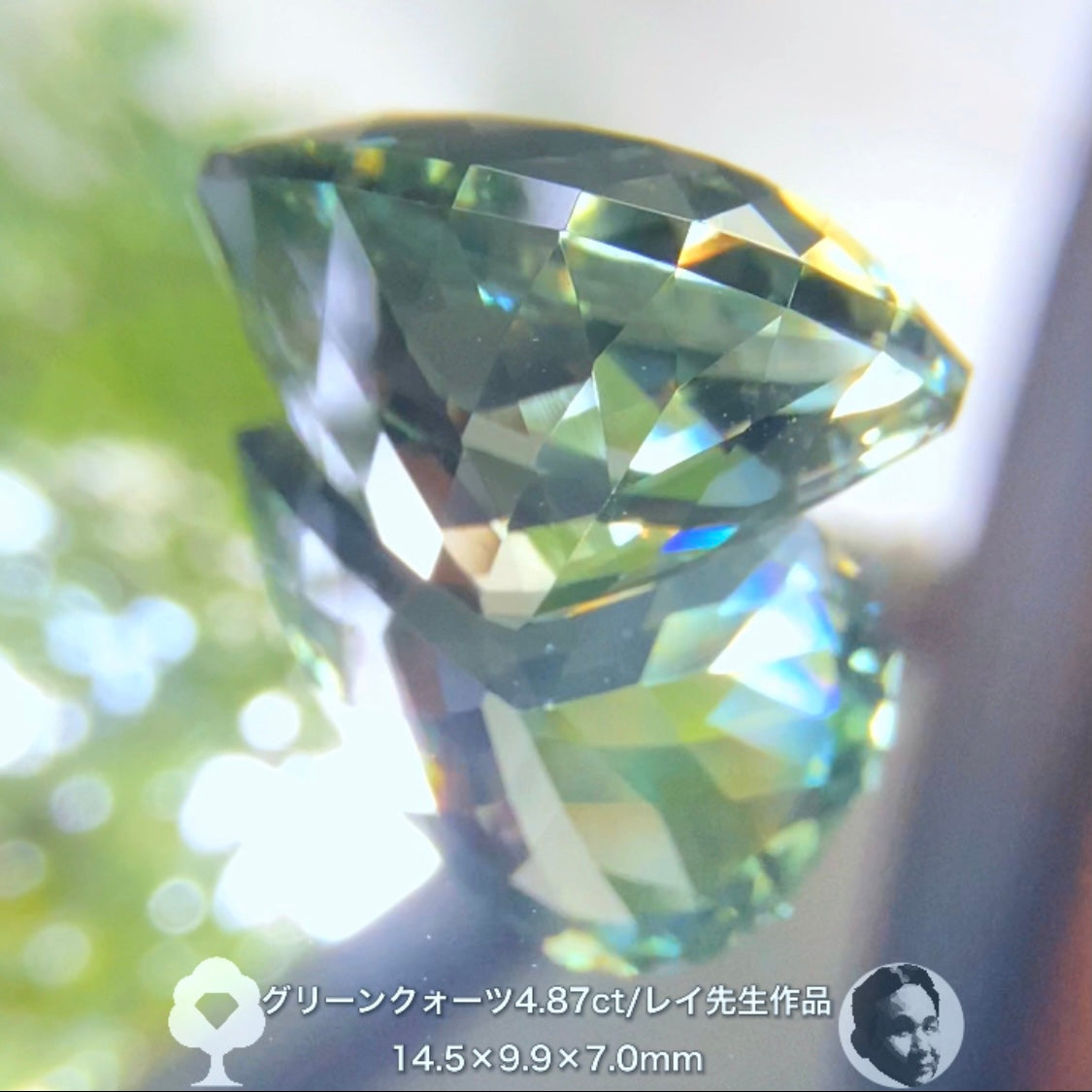癒されたい方必見✨レイちゃん作品“超美色”グリーンクォーツ4.87ct