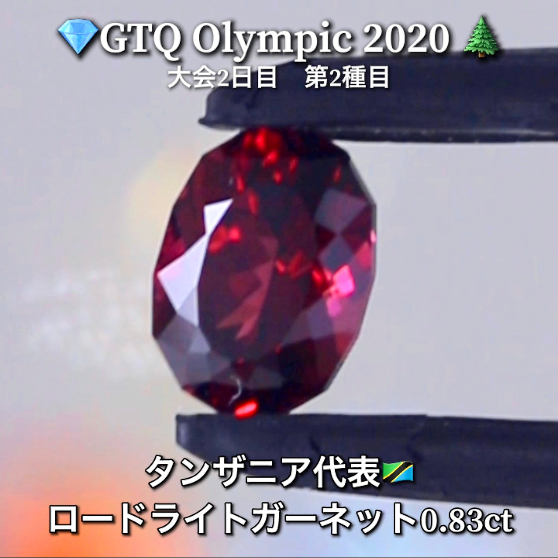 タンザニア代表🇹🇿ロードライトガーネット 0.83ct💎GTQ Olympic 2020大会2日目🎊第2種目🌲最落ナシ1円スタート❗️魅力的な“即決価格”付き✌️こちらは本日15時終了となります🕒