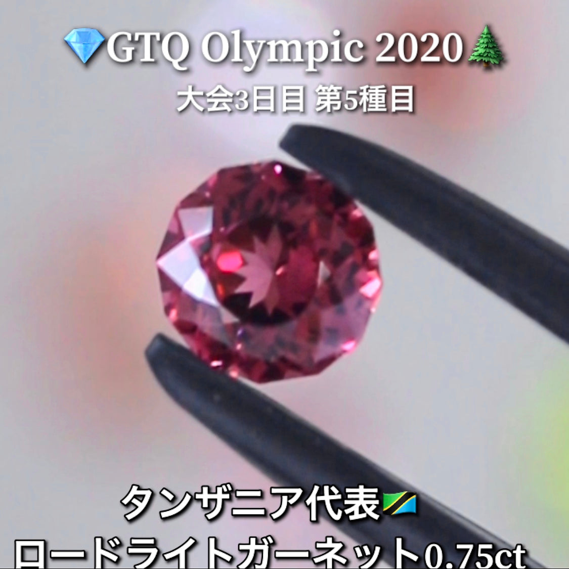 タンザニア代表🇹🇿ロードライトガーネット 0.75ct💎GTQ Olympic 2020大会3日目🎊第5種目🌲最落ナシ1円スタート❗️魅力的な“即決価格”付き✌️こちらは本日「19時30分終了」となります🕢