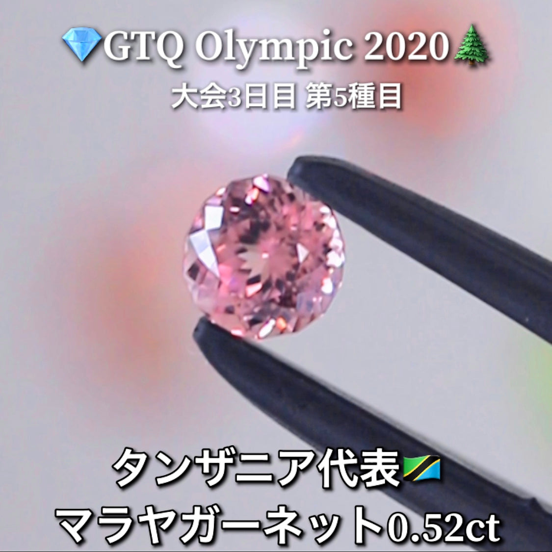 タンザニア代表🇹🇿マラヤガーネット 0.52ct💎GTQ Olympic 2020大会3日目🎊第5種目🌲最落ナシ1円スタート❗️魅力的な“即決価格”付き✌️こちらは本日「19時30分終了」となります🕢