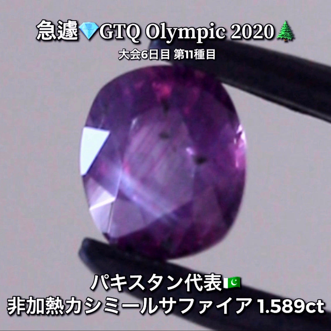 価値ある『趣』✨非加熱カシミールサファイア1.589ct✨ピアっちゃん作品💎パキスタン代表🇵🇰GTQ Olympic 2020大会6日目🎊第11種目🌲魅力的な“即決価格”付き✌️8月3日「12時34分終了」となります⏰