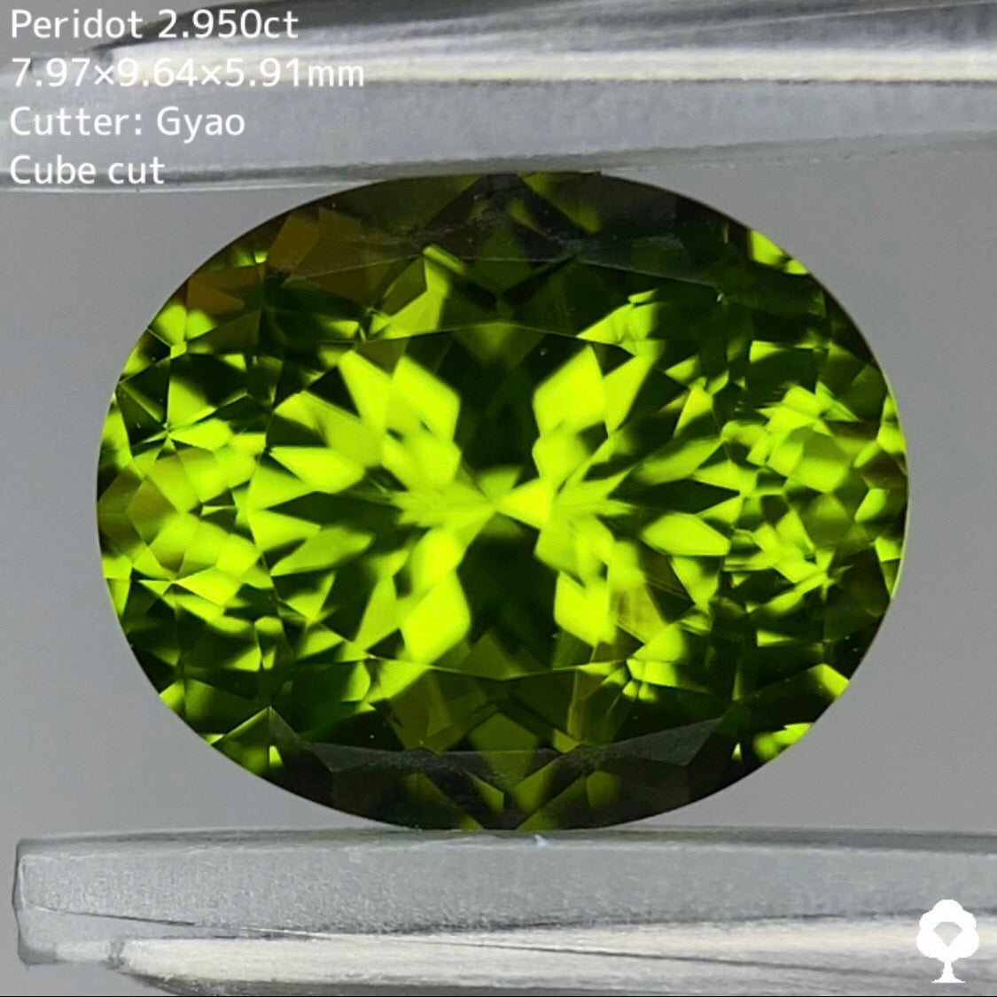 コクのある美色と鮮やかなテリのコントラストがたまらない★【Cube Cut】ペリドット 2.950ct