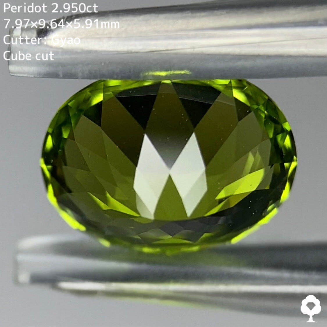 コクのある美色と鮮やかなテリのコントラストがたまらない★【Cube Cut】ペリドット 2.950ct